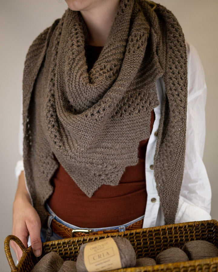 Stepping Stones Shawl